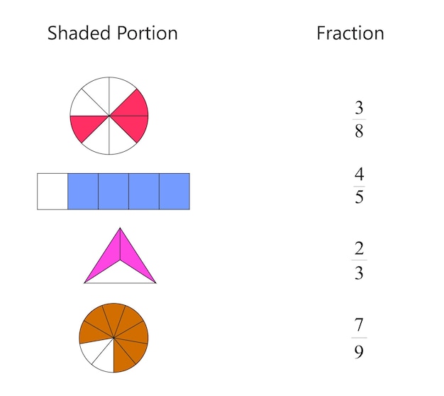 Vecteur fraction de portion des nuances