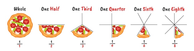 Fractions De Pizza Exemples De Tranchage Explication Visuelle De La Fraction Et De L'infographie Graphique Diagramme Vecteur Illustration Set