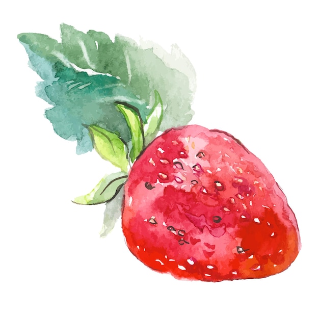 Fraise peinte à l'aquarelle de vecteur Éléments de conception d'aliments frais dessinés à la main isolés sur blanc