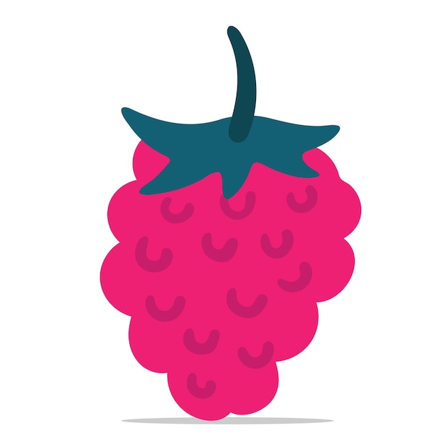 Framboise Dessinée à La Main Avec Illustration Vectorielle De Feuille. Clipart D'icône De Framboise. Caricature De Framboise.