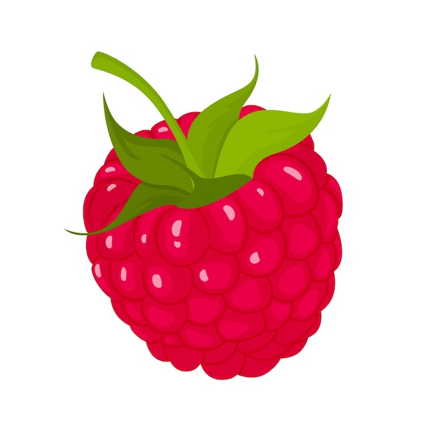 Vecteur framboise avec feuille, isolé sur fond blanc, clipart icône vecteur framboise. icône de framboise, illustration de dessin animé plat