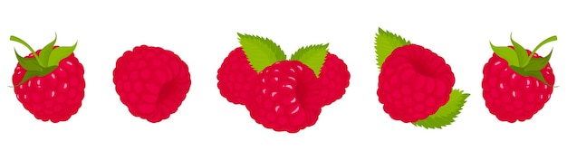 Framboise, Isolée Sur Fond Blanc. Ensemble Vectoriel De Framboise, Entier Et Tranche De Framboise Avec Queue Verte Et Feuille. Conception Plate