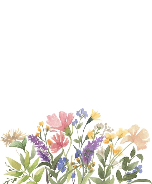 Vecteur frontière de fleurs sauvages à l'aquarelle