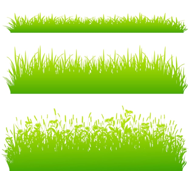 Vecteur frontières d'herbe verte isolées sur le vecteur de fond blanc