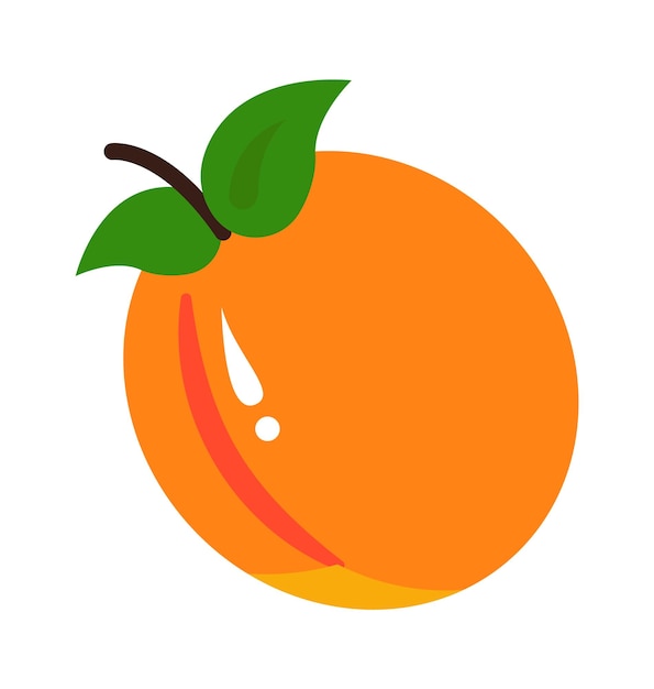 Fruit d'abricot Illustration vectorielle d'aliments sains