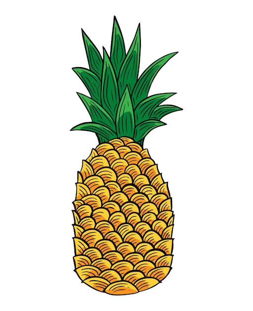 Fruit d'ananas dessiné à la main gravé vecteur de dessin de croquis
