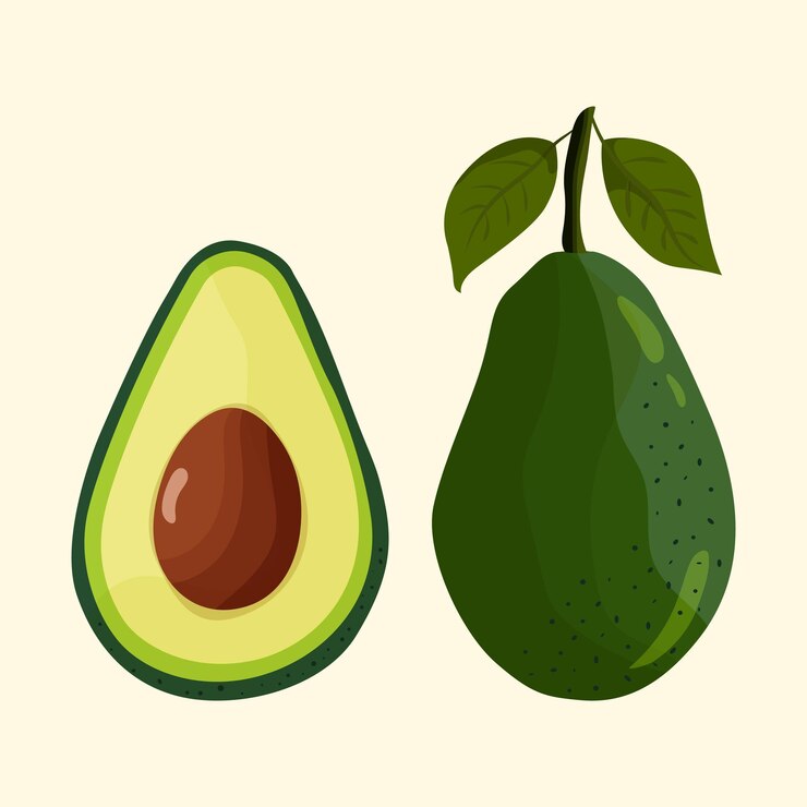 Vecteur fruit d'avocat entier avec des feuilles vertes et la moitié avec des graines image vectorielle isolée sur fond clair