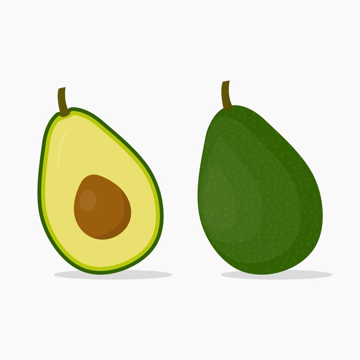 Vecteur fruit d'avocat frais isolé sur fond blanc. entier et coupé
