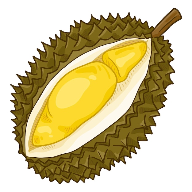 Fruit De Durian De Dessin Animé De Vecteur