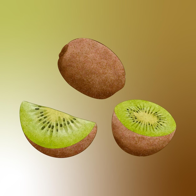 fruit de kiwi frais moitié entière et tranche découpée illustration