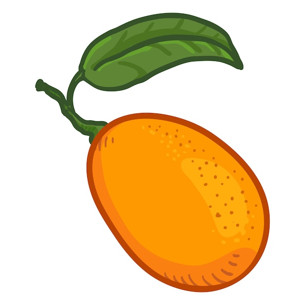 Fruit De Kumquat De Dessin Animé De Vecteur Avec Feuille Verte