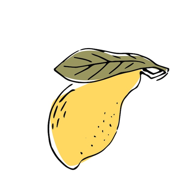 Fruit De Mangue Dessiné à La Main Avec Des Feuilles Croquis à L'encre Avec Couleur