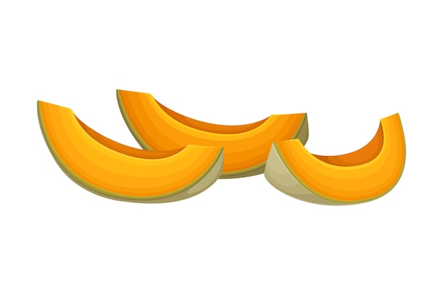 Vecteur fruit de melon tranché en orange isolé sur une illustration vectorielle de fond blanc