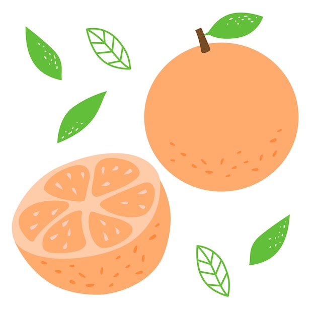 Fruit Orange Avec Des Feuilles