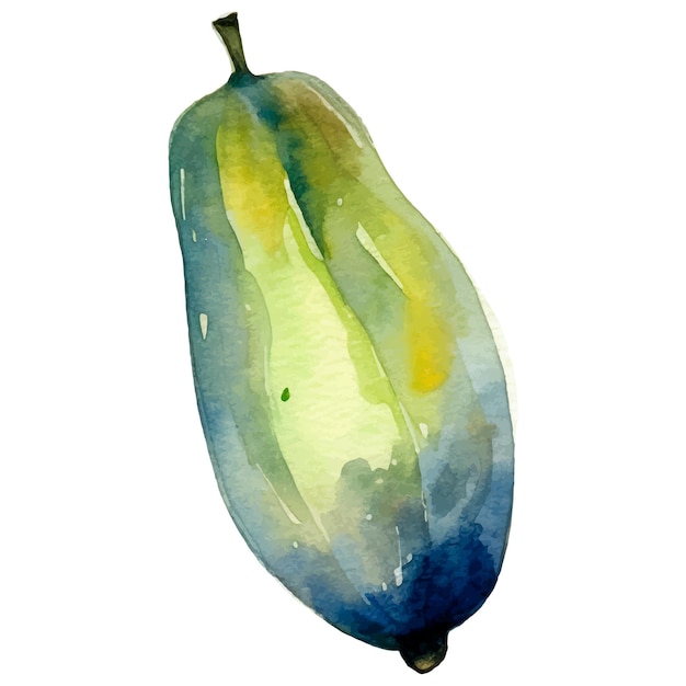 Fruit de papaye peint à l'aquarelle, élément de conception d'aliments frais dessiné à la main isolé sur fond blanc