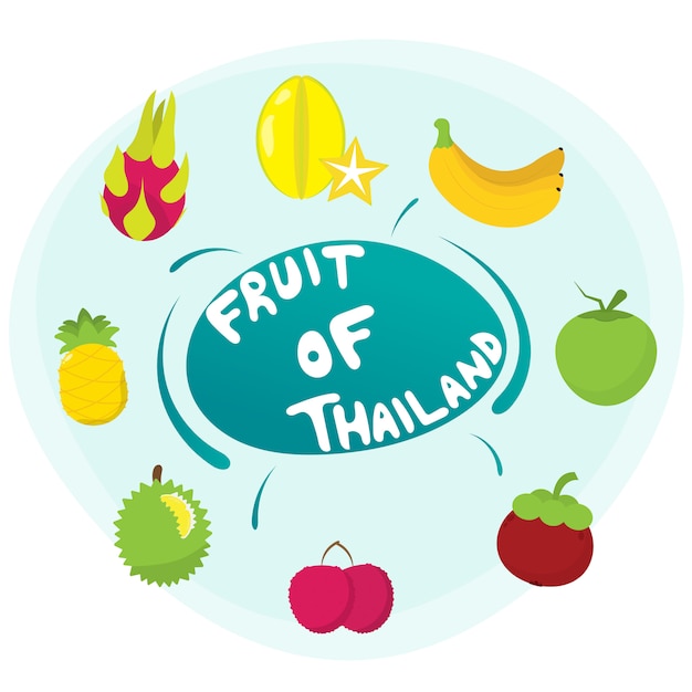 Vecteur fruit de la thaïlande