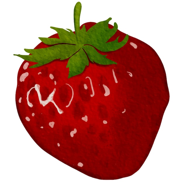 Fruit