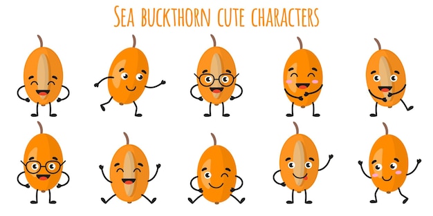 Fruits d'argousier mignons personnages gais drôles avec différentes poses et émotions