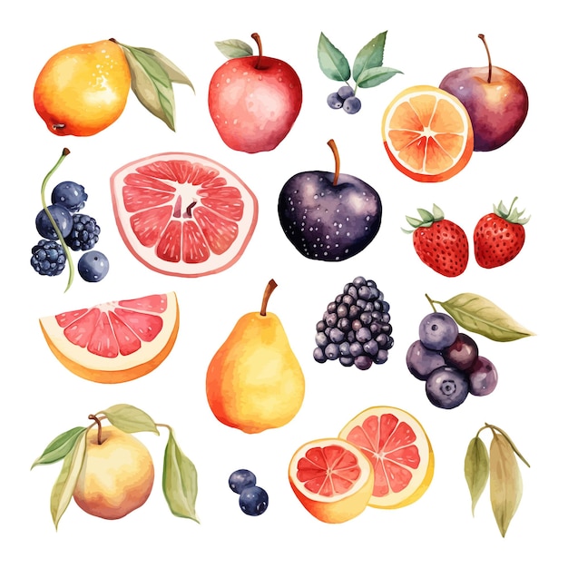 Vecteur fruits et baies aquarelle dessinés à la main ensemble isolé clipart