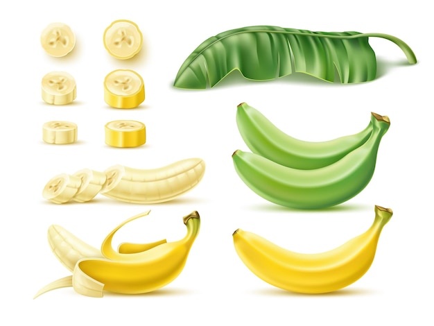 Fruits De Banane Dessert Jaune Et Vert Fruits Tropicaux Et Feuilles De Palmier 3d Non Pelés Entiers Et Coupés Aliments Crus Objets Réalistes Saveur Douce Produit Exotique Jeu Vecteur D'ingrédients De Cuisine