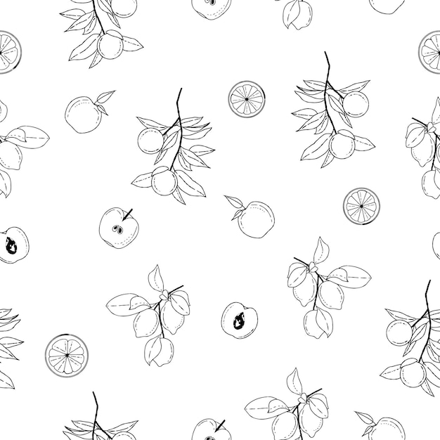 Vecteur fruits d'été motif transparent noir et blanc illustrations vectorielles de fruits motif de fond