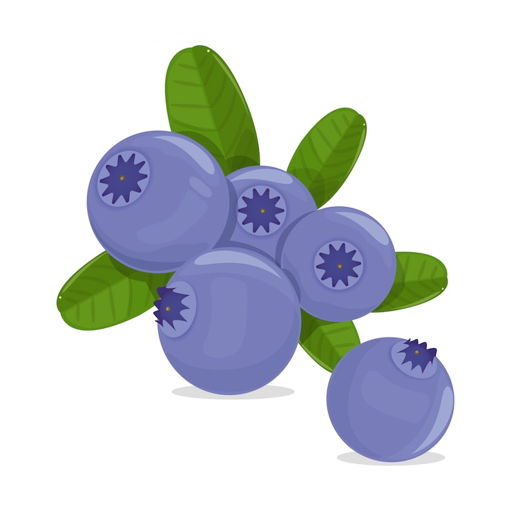 Vecteur fruits frais aux bleuets