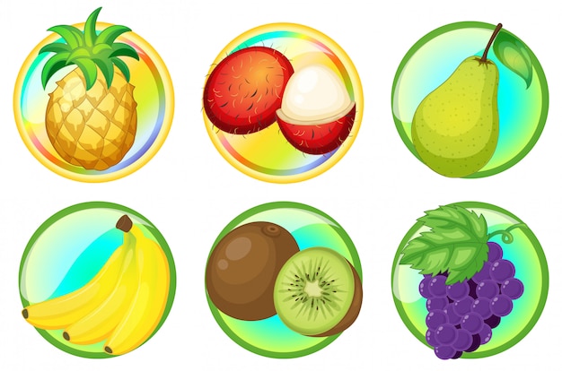 Vecteur fruits frais sur des badges ronds