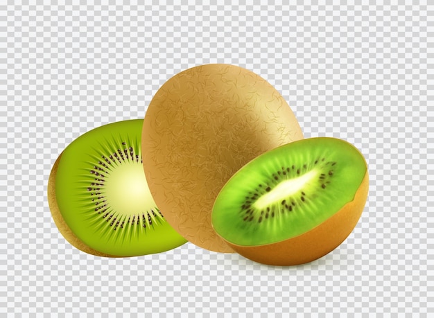 Vecteur les fruits des kiwis tropicaux illustrations fraîches