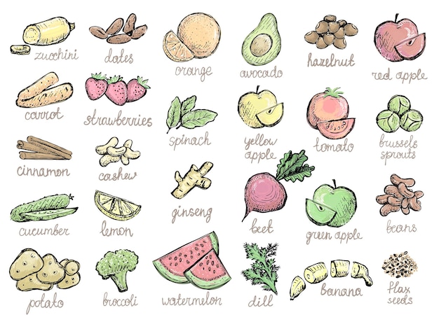 Vecteur fruits et légumes crus emblèmes graphiques illustration dessinée à la main