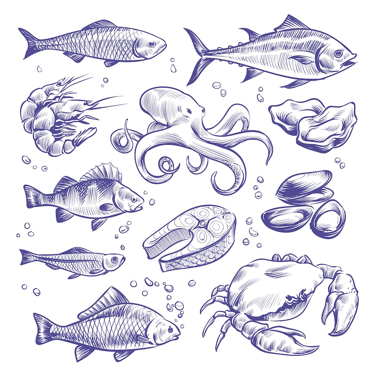Vecteur fruits de mer dessinés à la main. poissons de mer huîtres moules homard calmar poulpe crabes crevettes saumon crustacés fruits de mer naturels