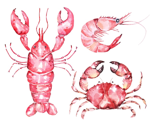 Vecteur fruits de mer frais. homard, crevettes, crabes et crustacés dessinés à la main à l'aquarelle. créatures marines.
