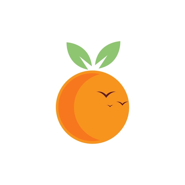 Fruits Orange Au Coucher Du Soleil Avec Des Oiseaux Logo Design Graphique Vectoriel Symbole Icône Signe Illustration Créative