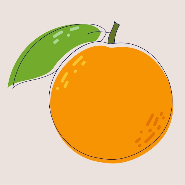 Fruits orange frais isolés sur fond blanc Mandarine Fruits biologiques Style plat Illustration vectorielle pour toute conception