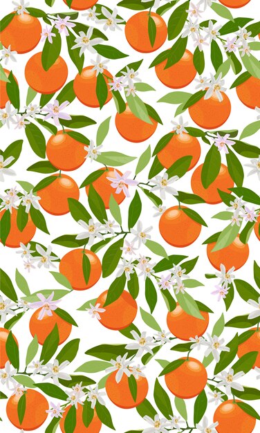 Fruits Orange Modèle Sans Couture Avec Des Fleurs