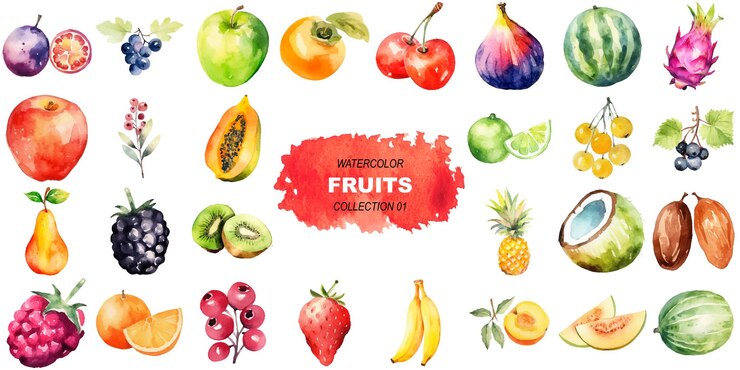 Vecteur fruits peints à l'aquarelle vectorielle éléments de conception d'aliments frais dessinés à la main isolés sur fond blanc