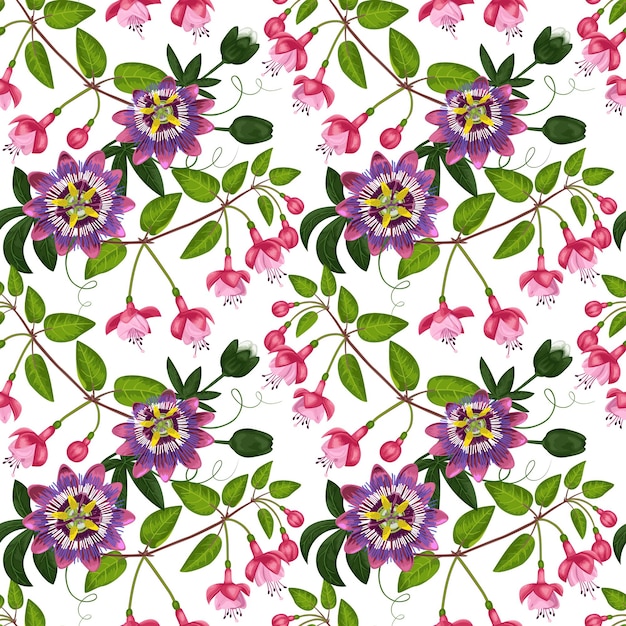 Fuchsia Et Passiflora Transparente Motif Sur Fond Blanc Pour Cartes Postales Cartes De Vœux