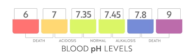 Gamme De Ph Du Sang Humain. Tableau Et échelle D'illustration Médicale. Diagramme Acide, Normal, Alcalin.