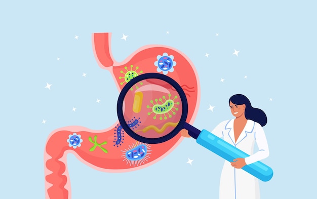 Gastroentérologie. Le Médecin Inspecte L'estomac à La Loupe. Scientifique étudiant Le Tractus Gastro-intestinal Et Le Système Digestif. Médecin Faisant L'analyse Des Micro-organismes De L'intestin