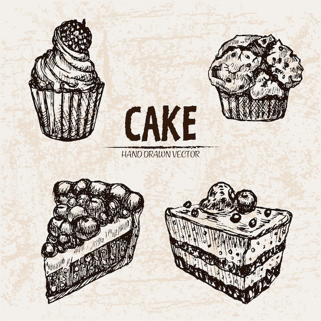 Gâteau d&#39;art de ligne détaillée et cupcakes