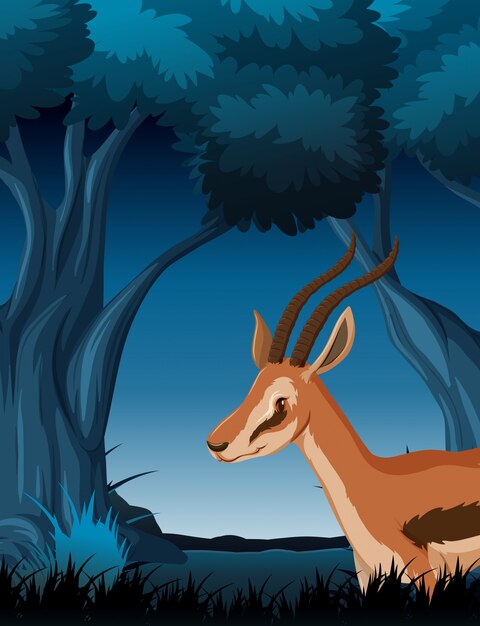 Une gazelle dans la sombre forêt