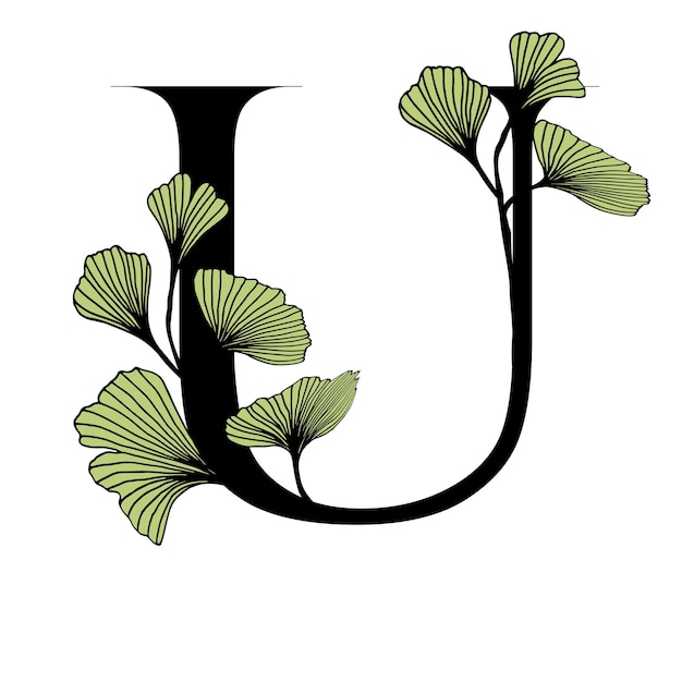 Vecteur ginkgo biloba feuilles alphabet badge et icône dans un style tendance linéaire dessiné à la main logo vectoriel emblème lettre et branche de ginkgo illustration pour les cosmétiques médicaments aliments biologiques