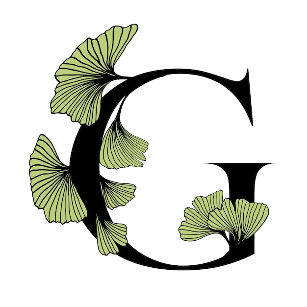 Ginkgo Biloba Feuilles Alphabet G Badge Et Icône Dans Un Style Tendance Linéaire Dessiné à La Main Logo Vectoriel Emblème Lettre Et Branche De Ginkgo Illustration Pour Les Cosmétiques Médicaments Aliments Biologiques