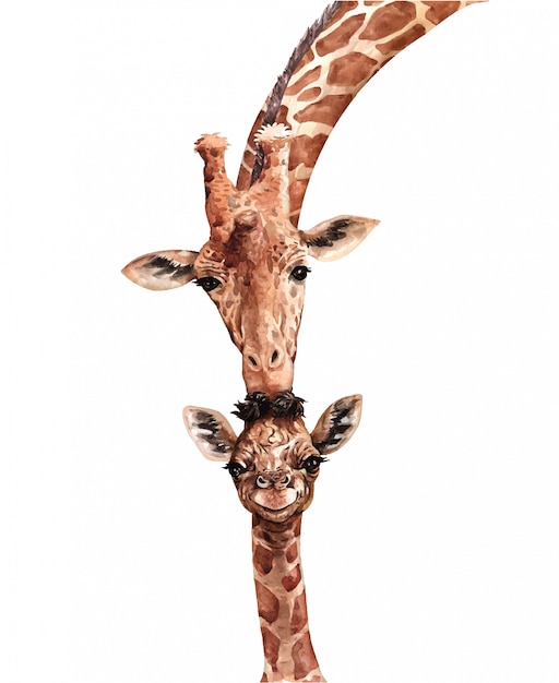 Girafe Aquarelle Baiser Bébé. Animal De L'afrique Du Sud. Peinture Girafe.