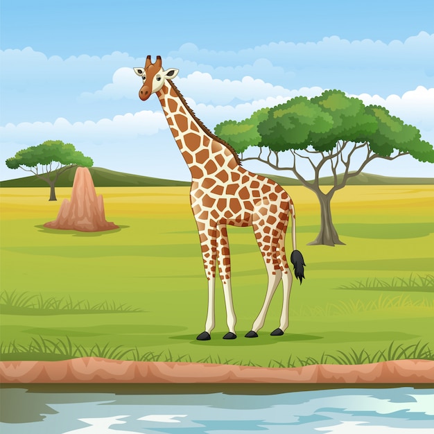 Girafe De Dessin Animé Dans La Savane