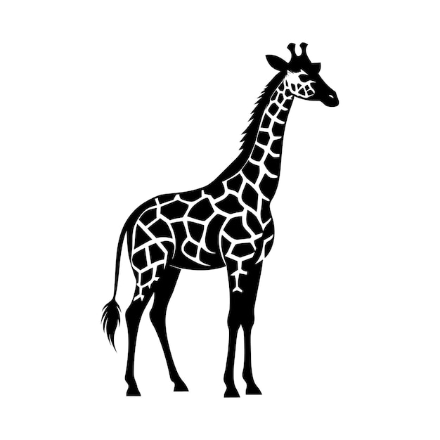 une girafe est montrée avec un dessin d'une girafe