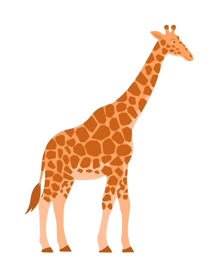 Vecteur girafe d'illustration de dessin animé sur fond blanc