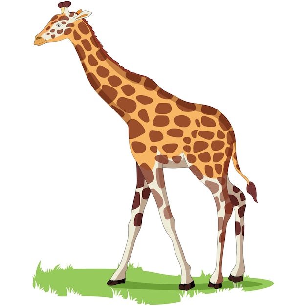 Girafe Sur L'illustration Vectorielle De L'herbe