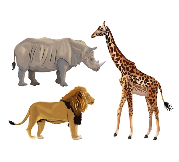 Girafe, lion et éléphant isolé sur fond blanc.