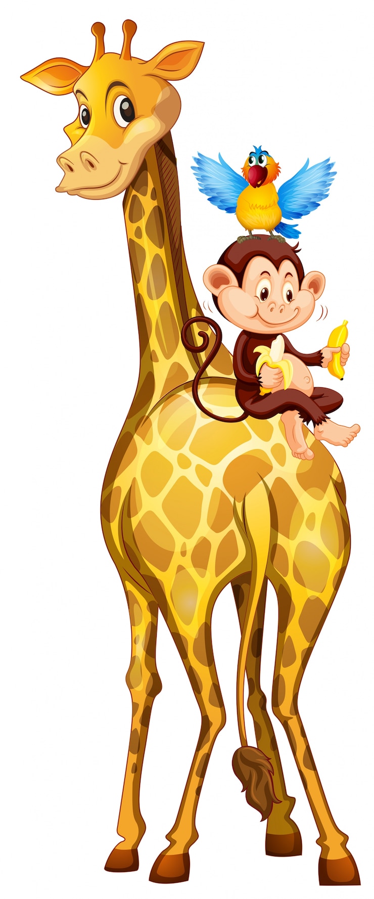 Vecteur girafe et singe sur fond blanc
