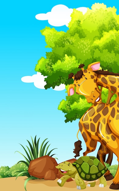 Girafe et tortue dans le parc